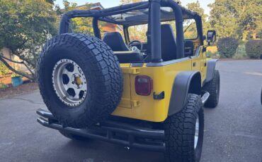 Jeep-wrangler-1993-yellow-5
