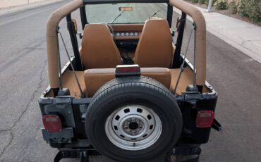 Jeep-wrangler-1994-black-14