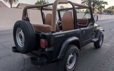 Jeep-wrangler-1994-black-15
