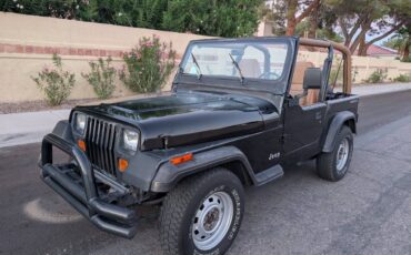 Jeep-wrangler-1994-black-5