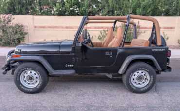 Jeep-wrangler-1994-black-6