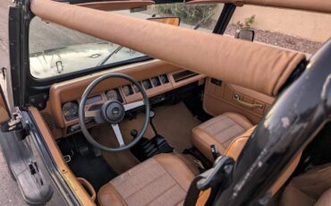 Jeep-wrangler-1994-black-9