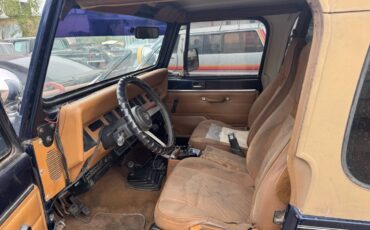 Jeep-wrangler-1994-blue-11