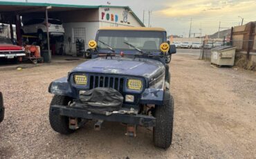 Jeep-wrangler-1994-blue-3