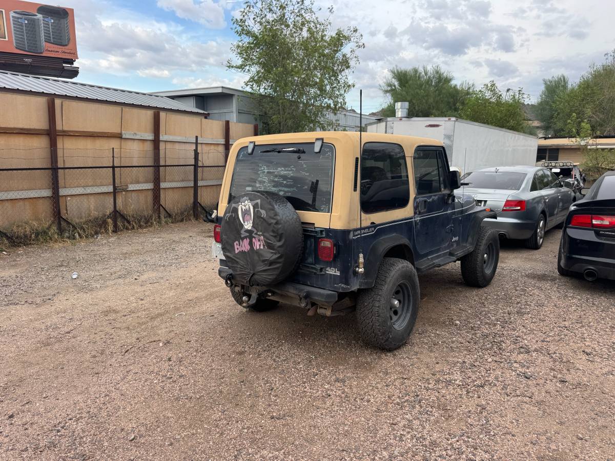 Jeep-wrangler-1994-blue-4