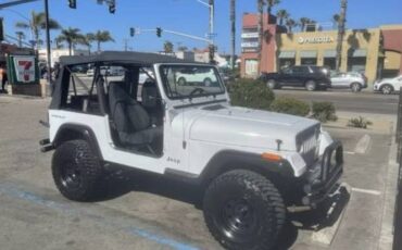 Jeep-wrangler-1994-white