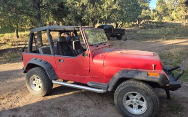Jeep-wrangler-1995-6