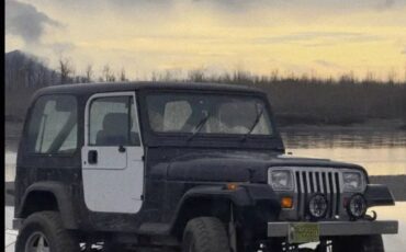 Jeep-wrangler-diesel-1990-10