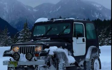 Jeep-wrangler-diesel-1990-11