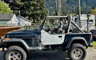 Jeep-wrangler-diesel-1990-9