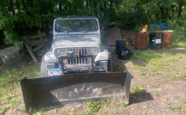 Jeep-wrangler-laredo-1989-silver-1