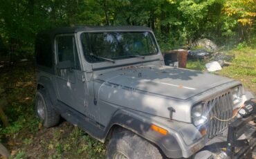 Jeep-wrangler-laredo-1989-silver-2