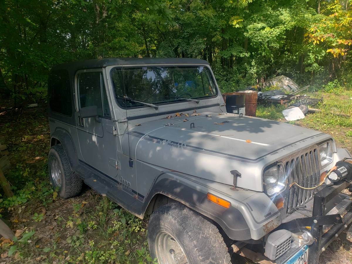 Jeep-wrangler-laredo-1989-silver-2