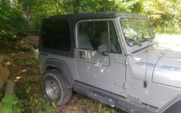 Jeep-wrangler-laredo-1989-silver-3