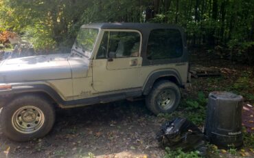 Jeep-wrangler-laredo-1989-silver