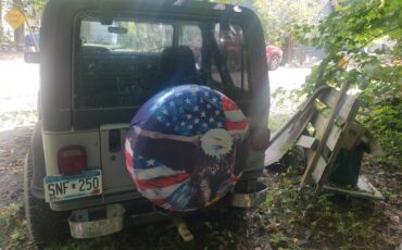 Jeep-wrangler-laredo-1989-silver-4