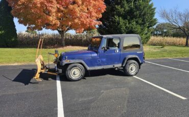 Jeep-wrangler-open-body-sahara-1988-blue-10