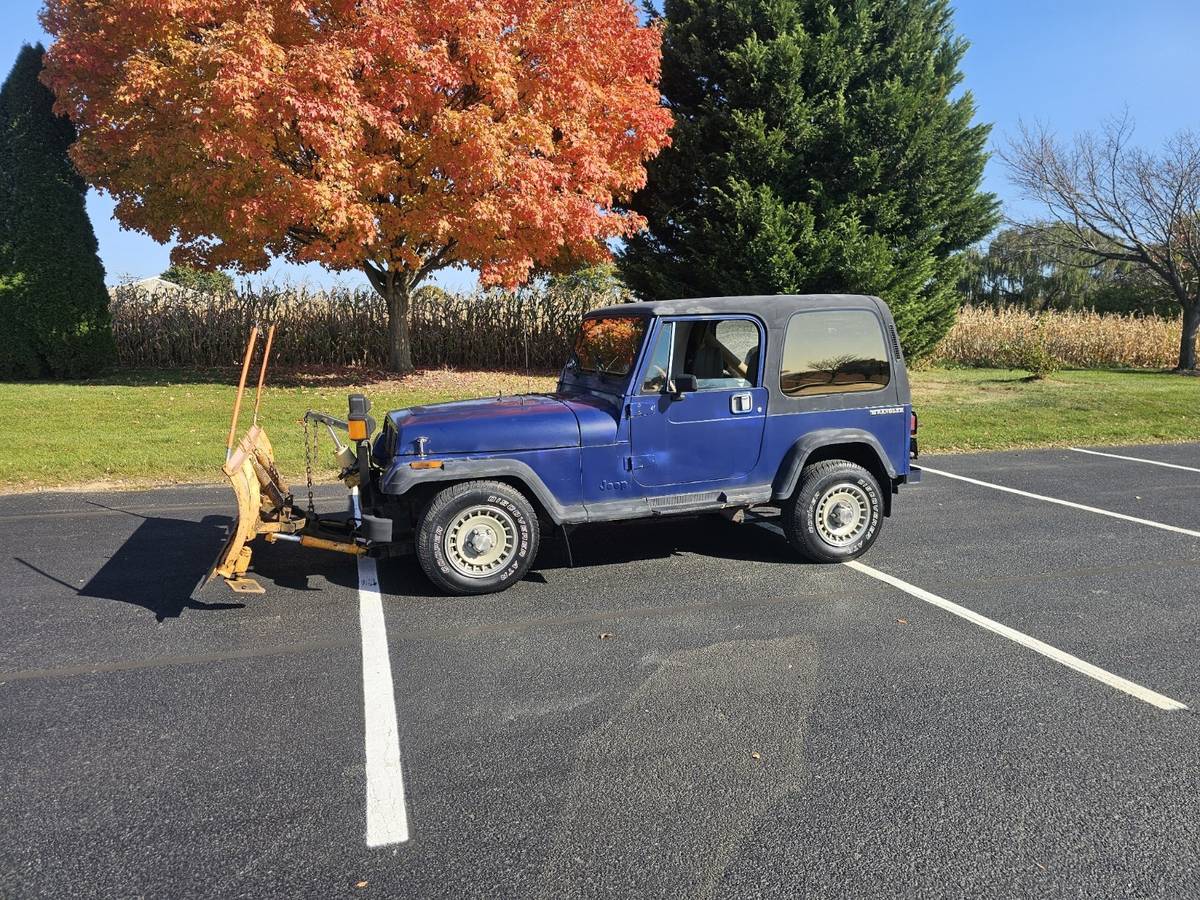 Jeep-wrangler-open-body-sahara-1988-blue-10
