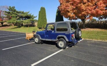 Jeep-wrangler-open-body-sahara-1988-blue-22