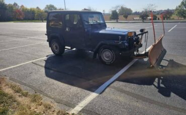 Jeep-wrangler-open-body-sahara-1988-blue-36