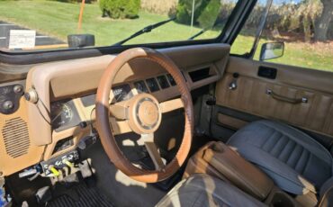 Jeep-wrangler-open-body-sahara-1988-blue-37