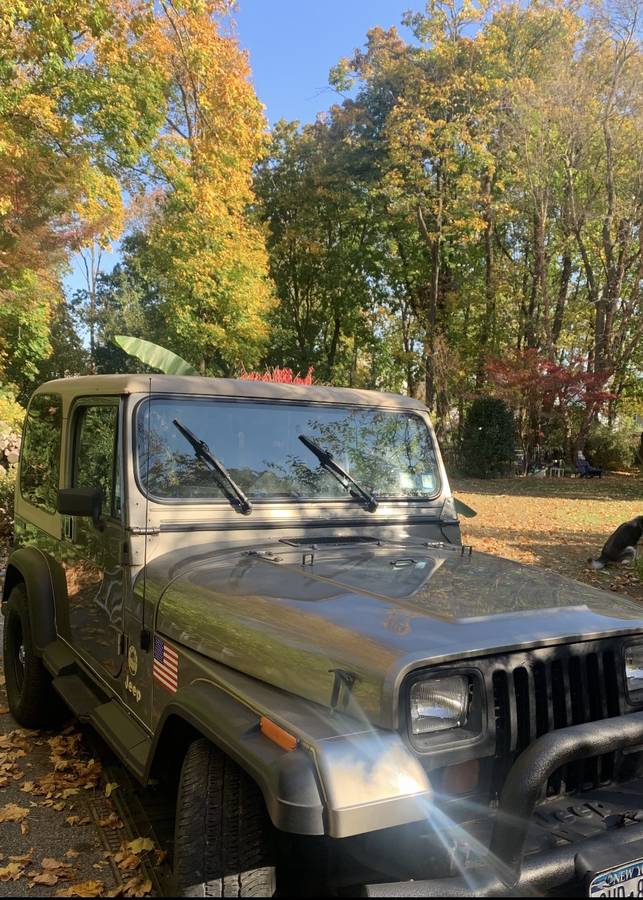 Jeep-wrangler-sahara-1989-green-3