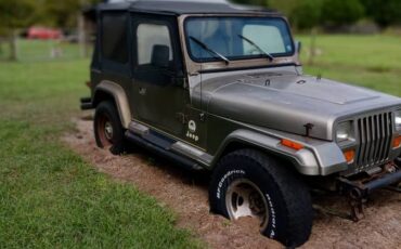 Jeep-wrangler-sahara-4x4-1989-brown-1