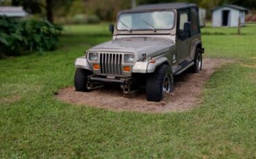 Jeep-wrangler-sahara-4x4-1989-brown-2