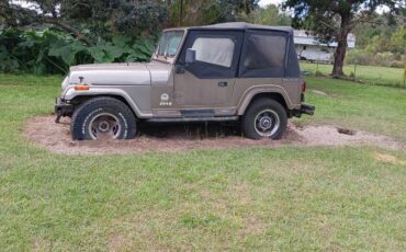 Jeep-wrangler-sahara-4x4-1989-brown-3