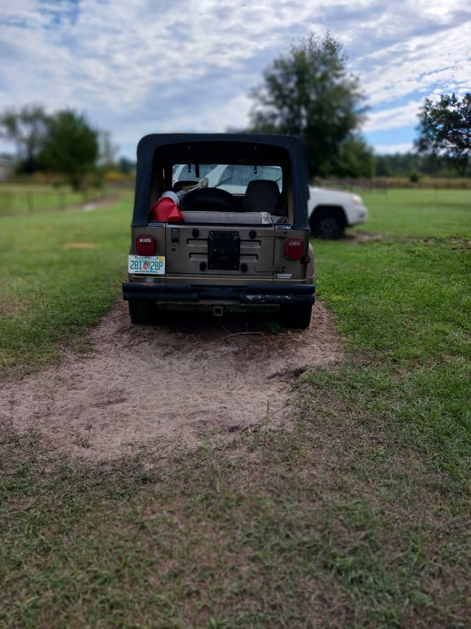Jeep-wrangler-sahara-4x4-1989-brown-4