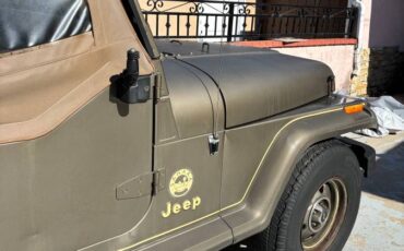 Jeep-wrangler-sahara-edition-1989-green-14