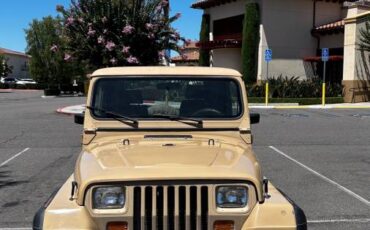 Jeep-wrangler-sahara-toad-1988-10
