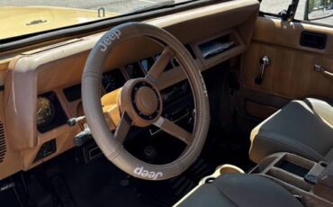Jeep-wrangler-sahara-toad-1988-11