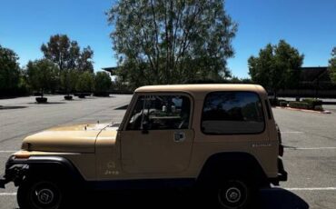 Jeep-wrangler-sahara-toad-1988-15