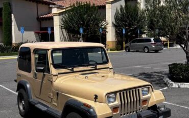 Jeep-wrangler-sahara-toad-1988