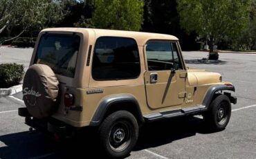 Jeep-wrangler-sahara-toad-1988-4