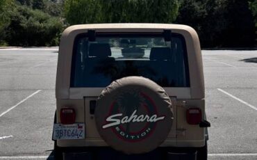 Jeep-wrangler-sahara-toad-1988-6