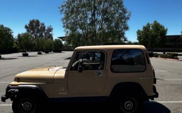 Jeep-wrangler-sahara-toad-1988-8