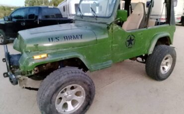 Jeep-wrangler-sport-1993-green-2
