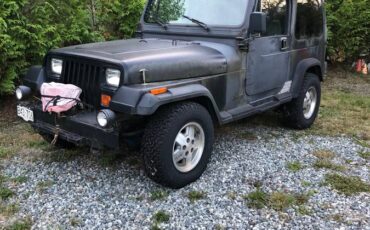 Jeep-wrangler-yj-1991-black-1