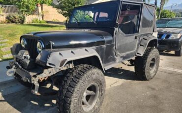 Jeep-wrangler-yj-1991-black