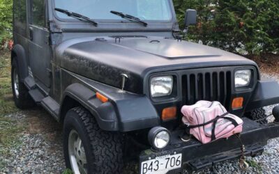 Jeep wrangler yj 1991