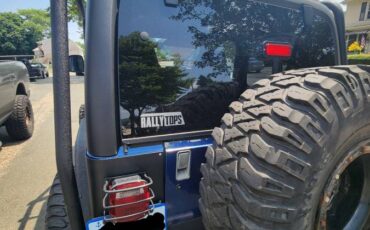 Jeep-wrangler-yj-1995-blue-20