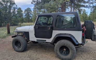 Jeep-wrangler-yj-1995-white-10