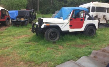 Jeep-yj-or-tj-1995-21