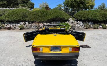 Jensen-haley-type-2-1974-yellow-16