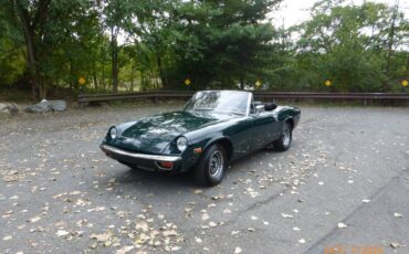 Jensen-healey-1974-green-11