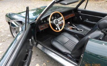 Jensen-healey-1974-green-16
