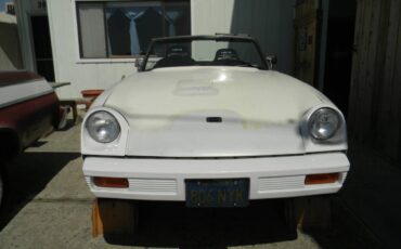 Jensen-healey-1974-white-5