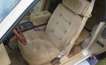 Johnson-phantom-1986-custom-12